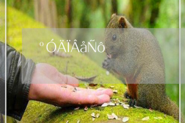 东安企业清欠服务