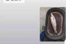 东安讨债公司成功追回消防工程公司欠款108万成功案例